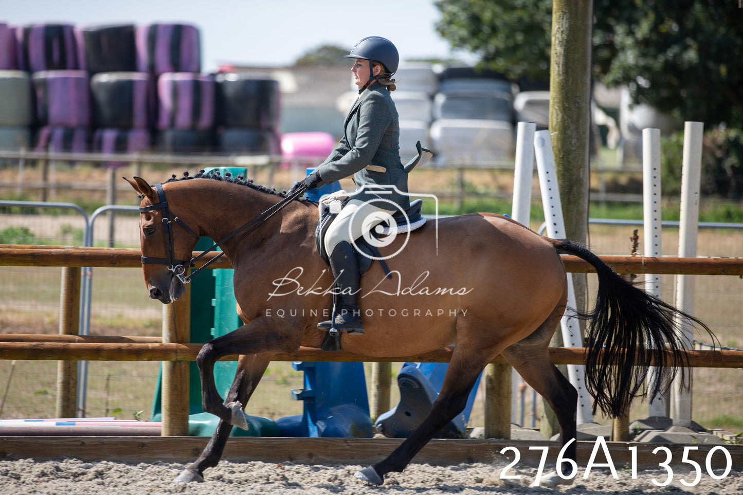 Home Farm Annual Show 2025 - Ridden Pt 1
