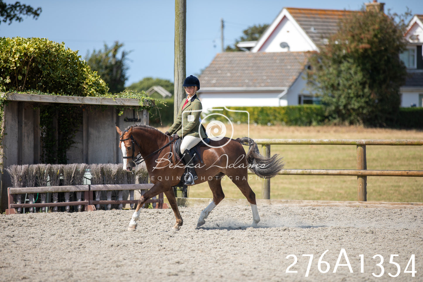 Home Farm Annual Show 2025 - Ridden Pt 1