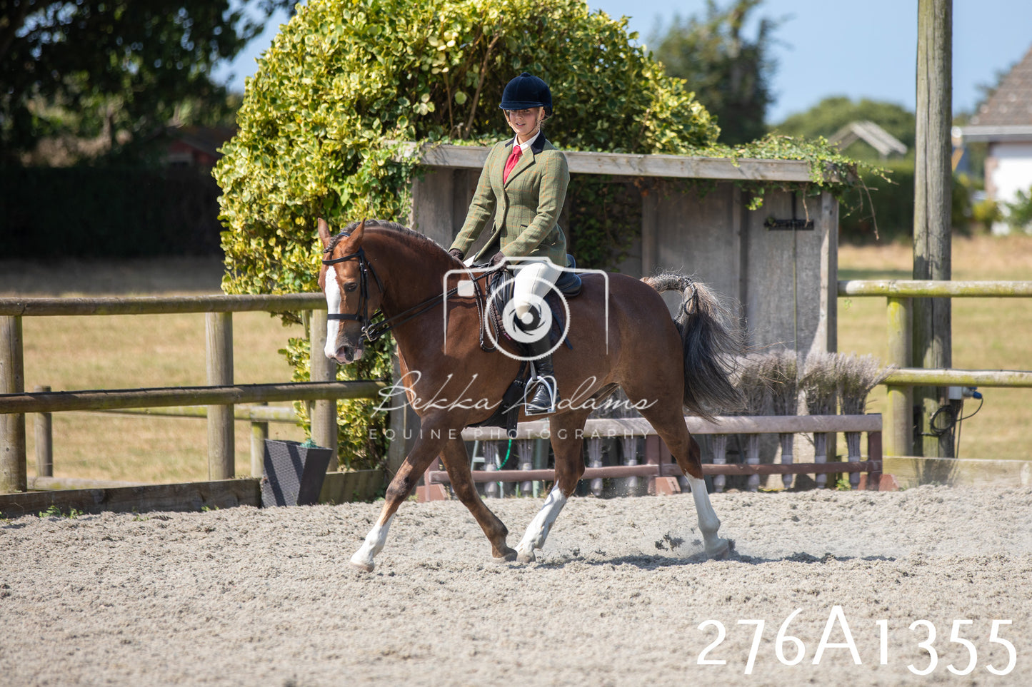 Home Farm Annual Show 2025 - Ridden Pt 1
