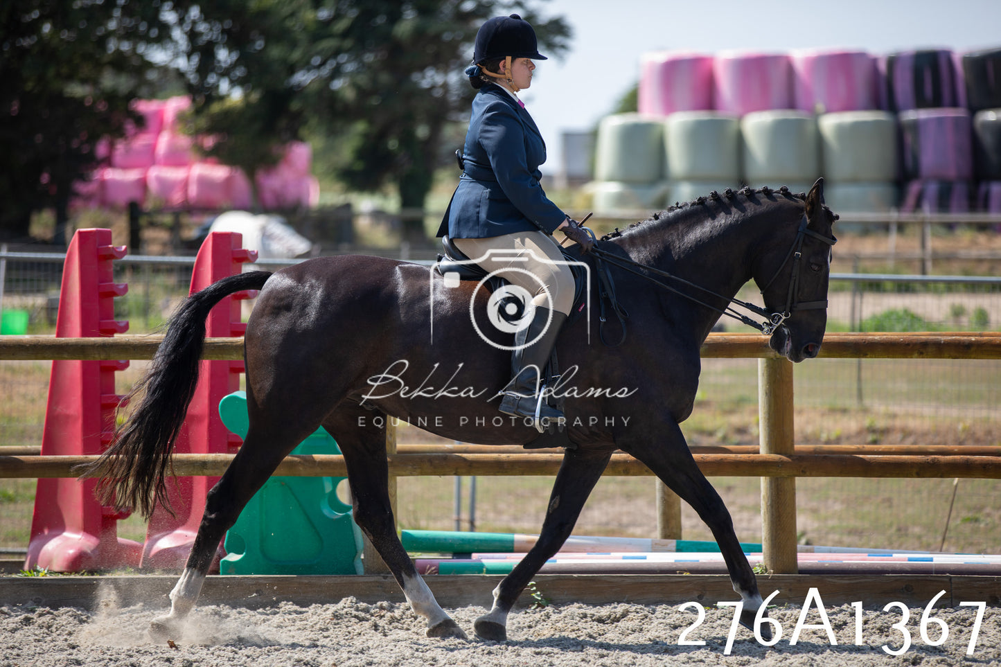 Home Farm Annual Show 2025 - Ridden Pt 1