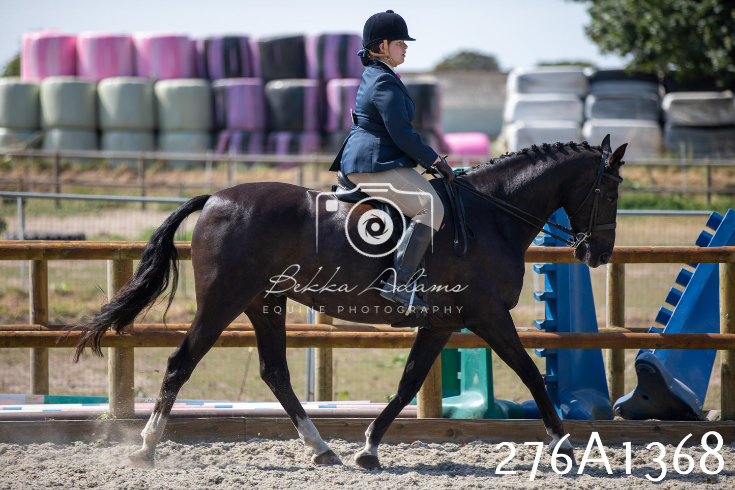 Home Farm Annual Show 2025 - Ridden Pt 1