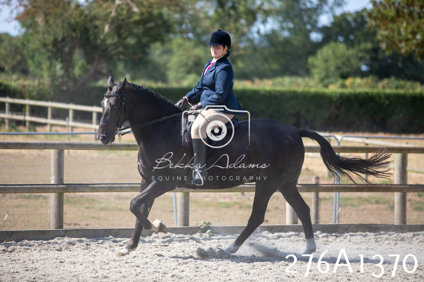 Home Farm Annual Show 2025 - Ridden Pt 1