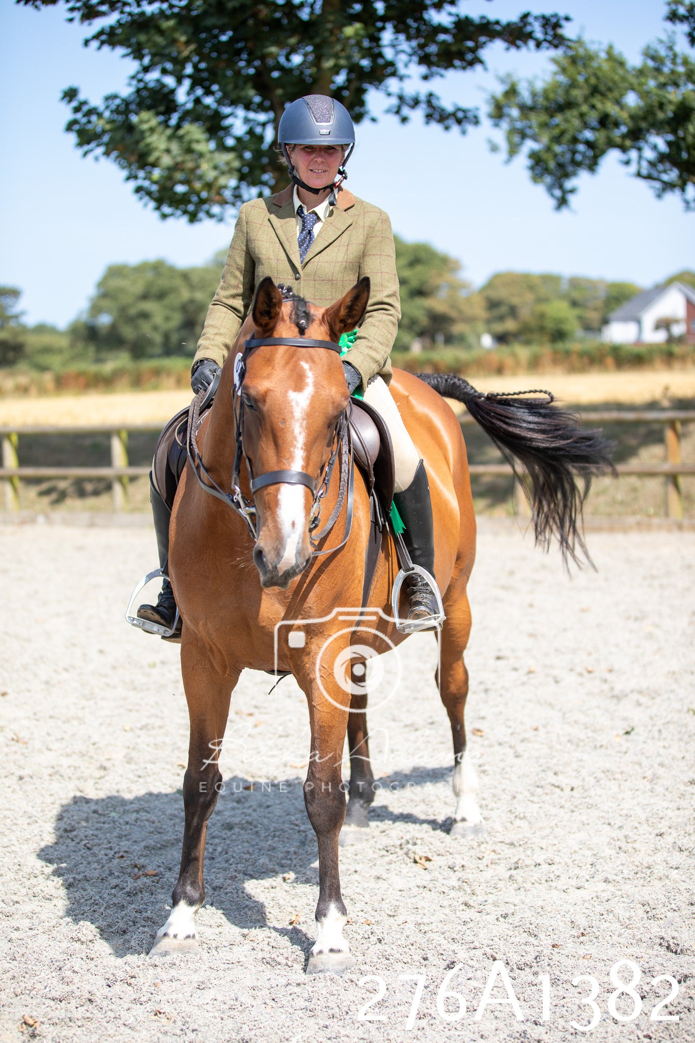 Home Farm Annual Show 2025 - Ridden Pt 1