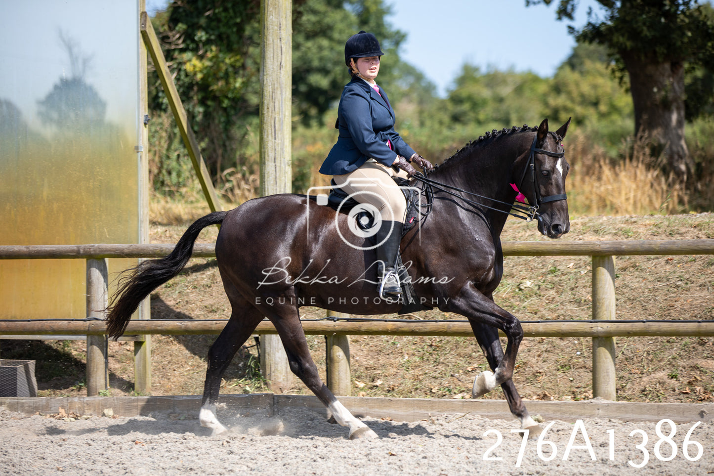 Home Farm Annual Show 2025 - Ridden Pt 1