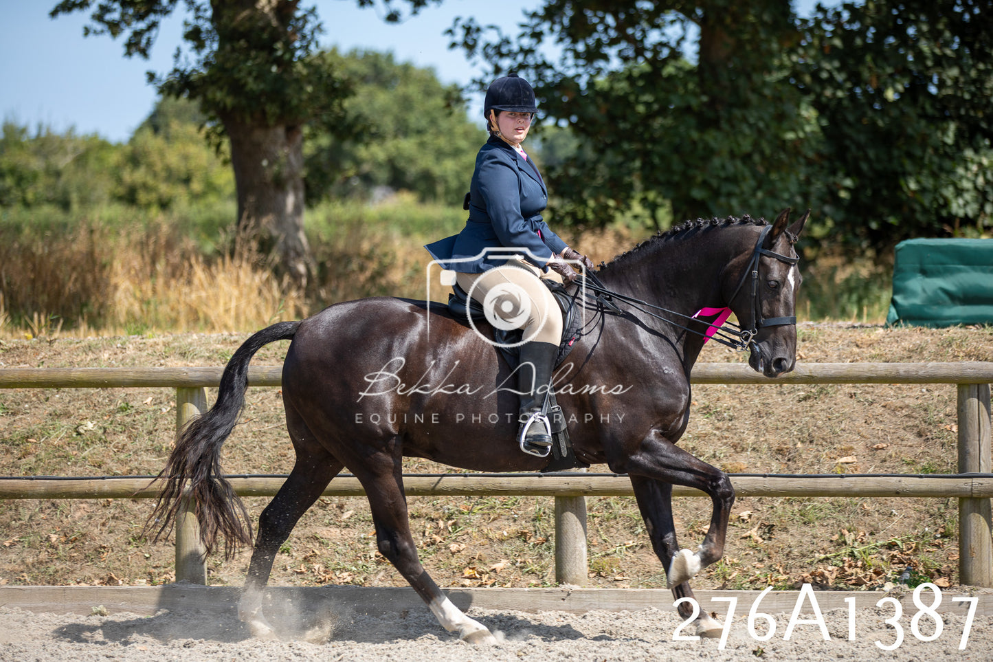 Home Farm Annual Show 2025 - Ridden Pt 1