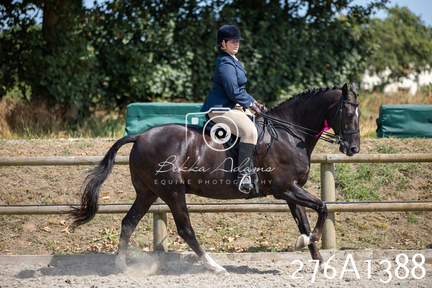 Home Farm Annual Show 2025 - Ridden Pt 1