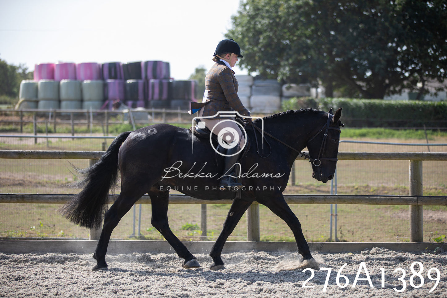 Home Farm Annual Show 2025 - Ridden Pt 1