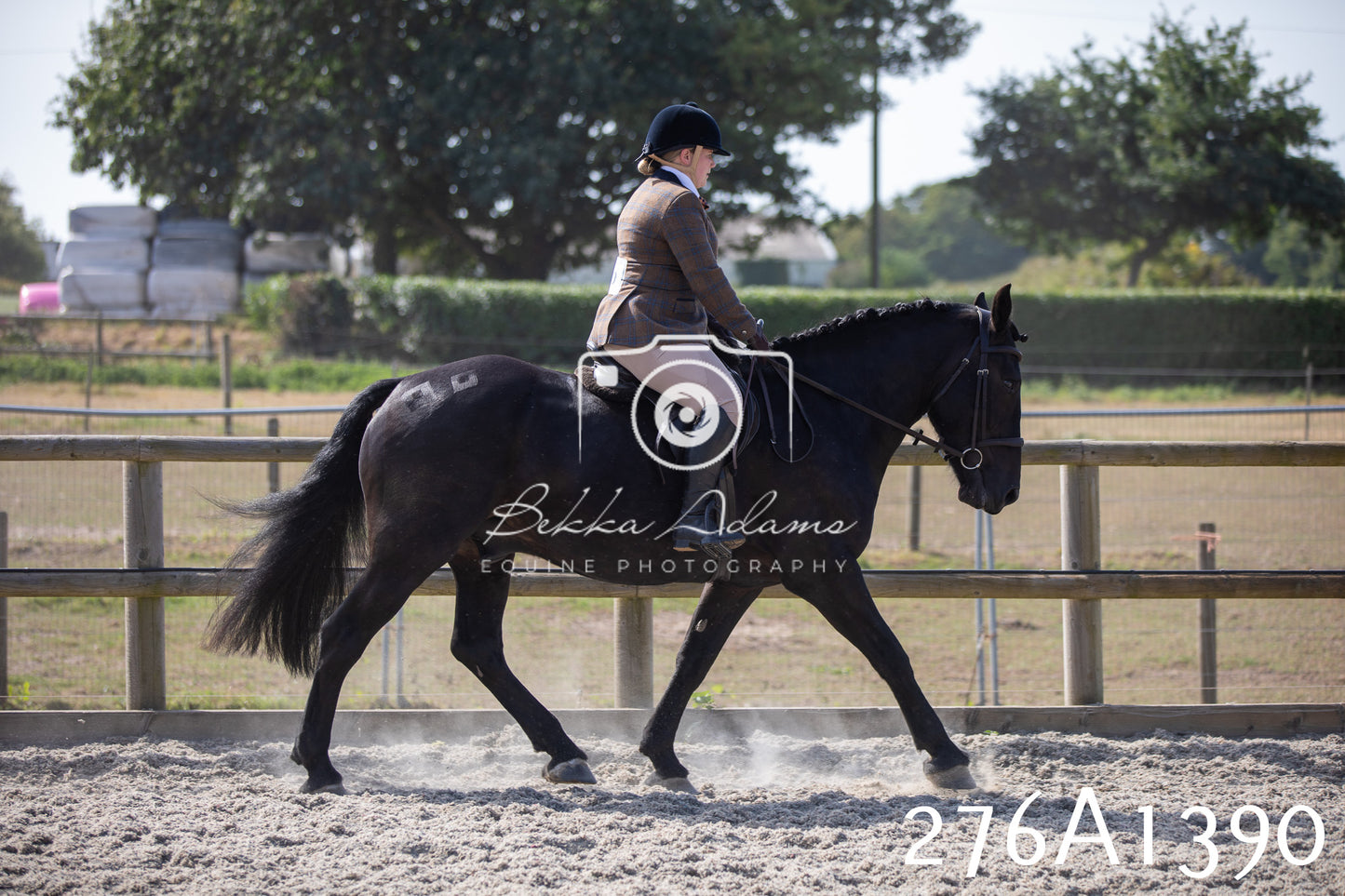 Home Farm Annual Show 2025 - Ridden Pt 1