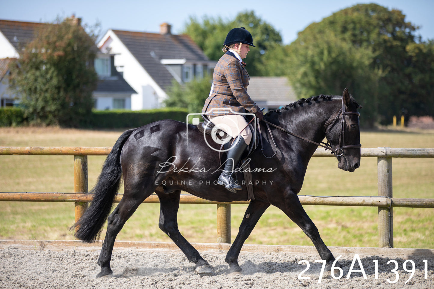 Home Farm Annual Show 2025 - Ridden Pt 1