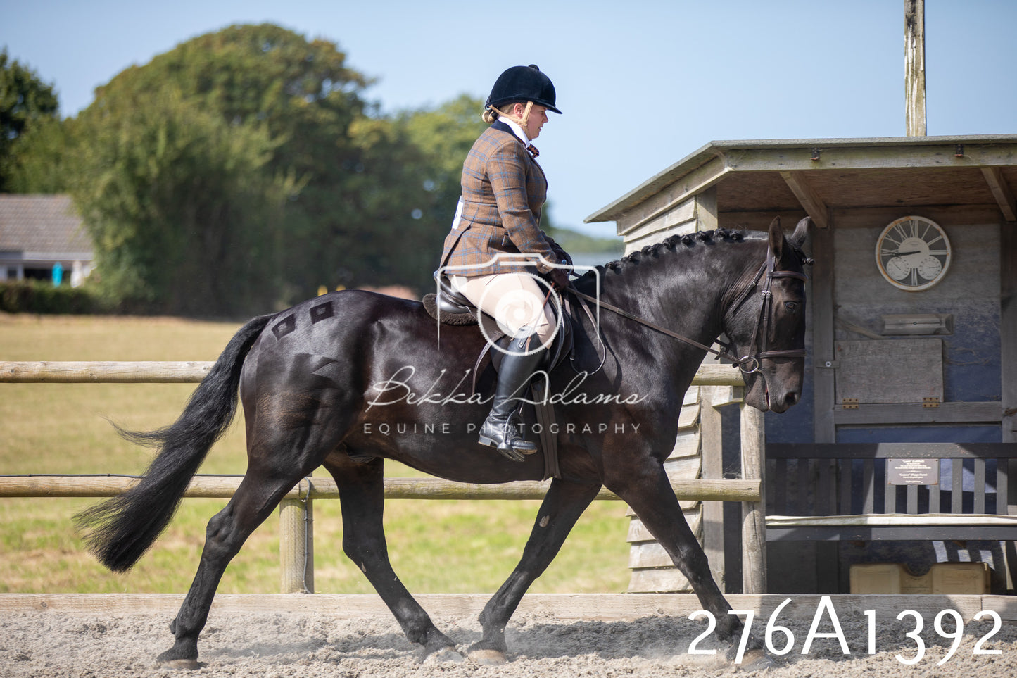 Home Farm Annual Show 2025 - Ridden Pt 1