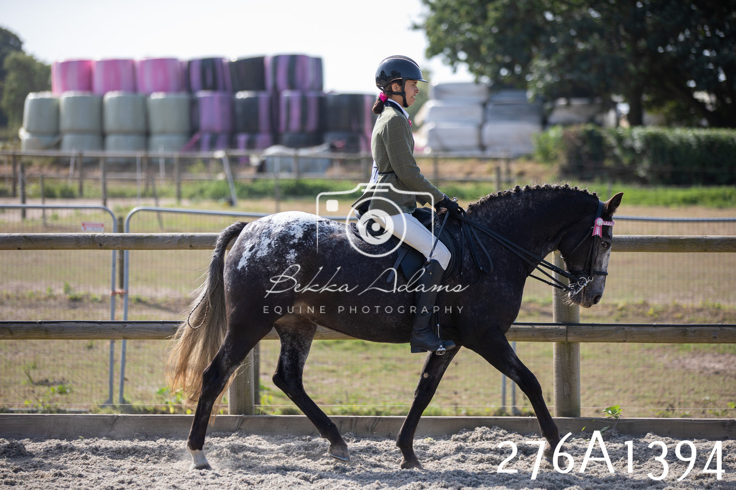 Home Farm Annual Show 2025 - Ridden Pt 1