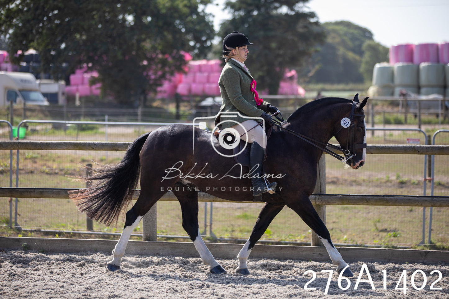 Home Farm Annual Show 2025 - Ridden Pt 1