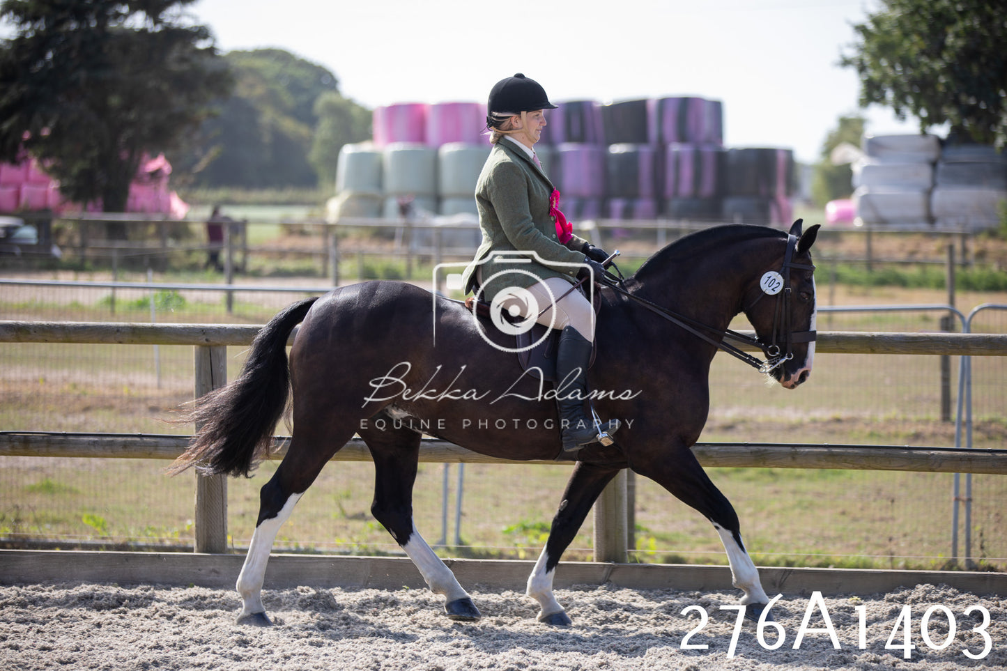 Home Farm Annual Show 2025 - Ridden Pt 1