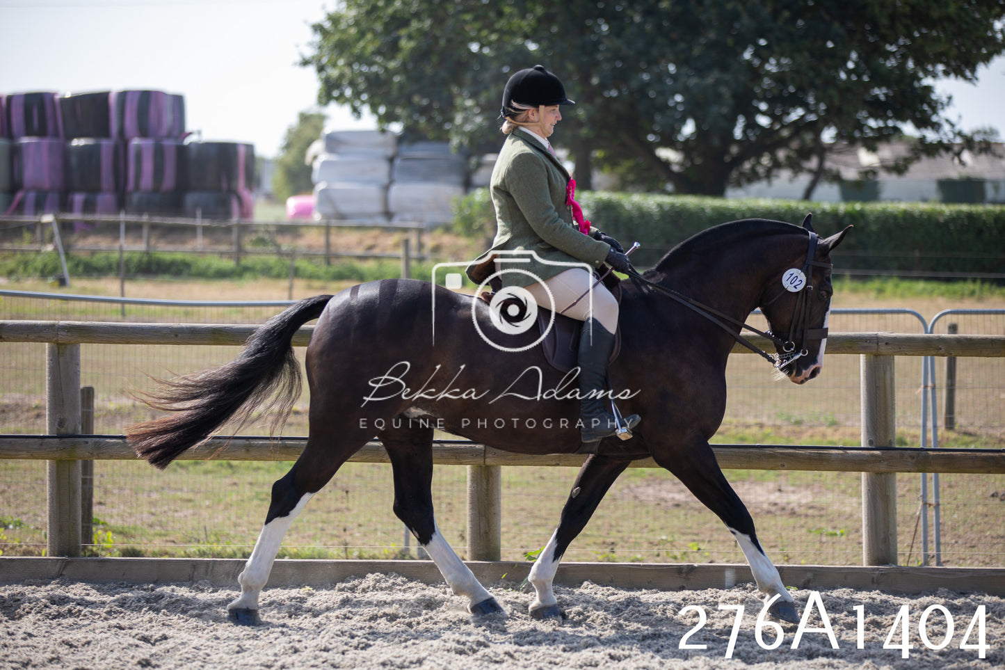 Home Farm Annual Show 2025 - Ridden Pt 1