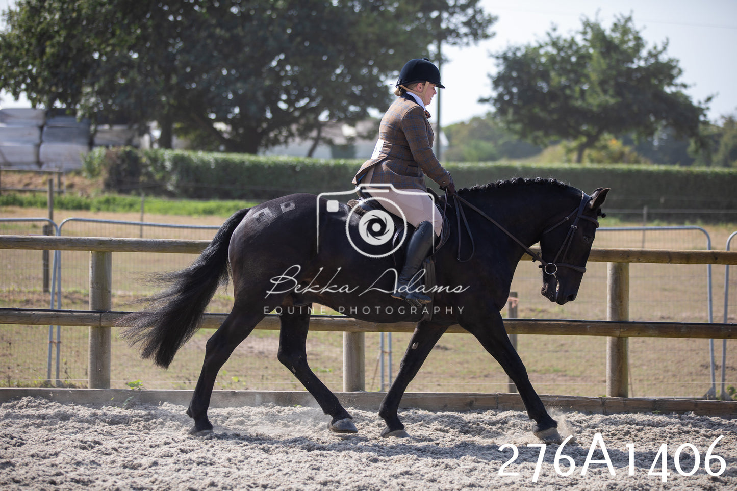 Home Farm Annual Show 2025 - Ridden Pt 1