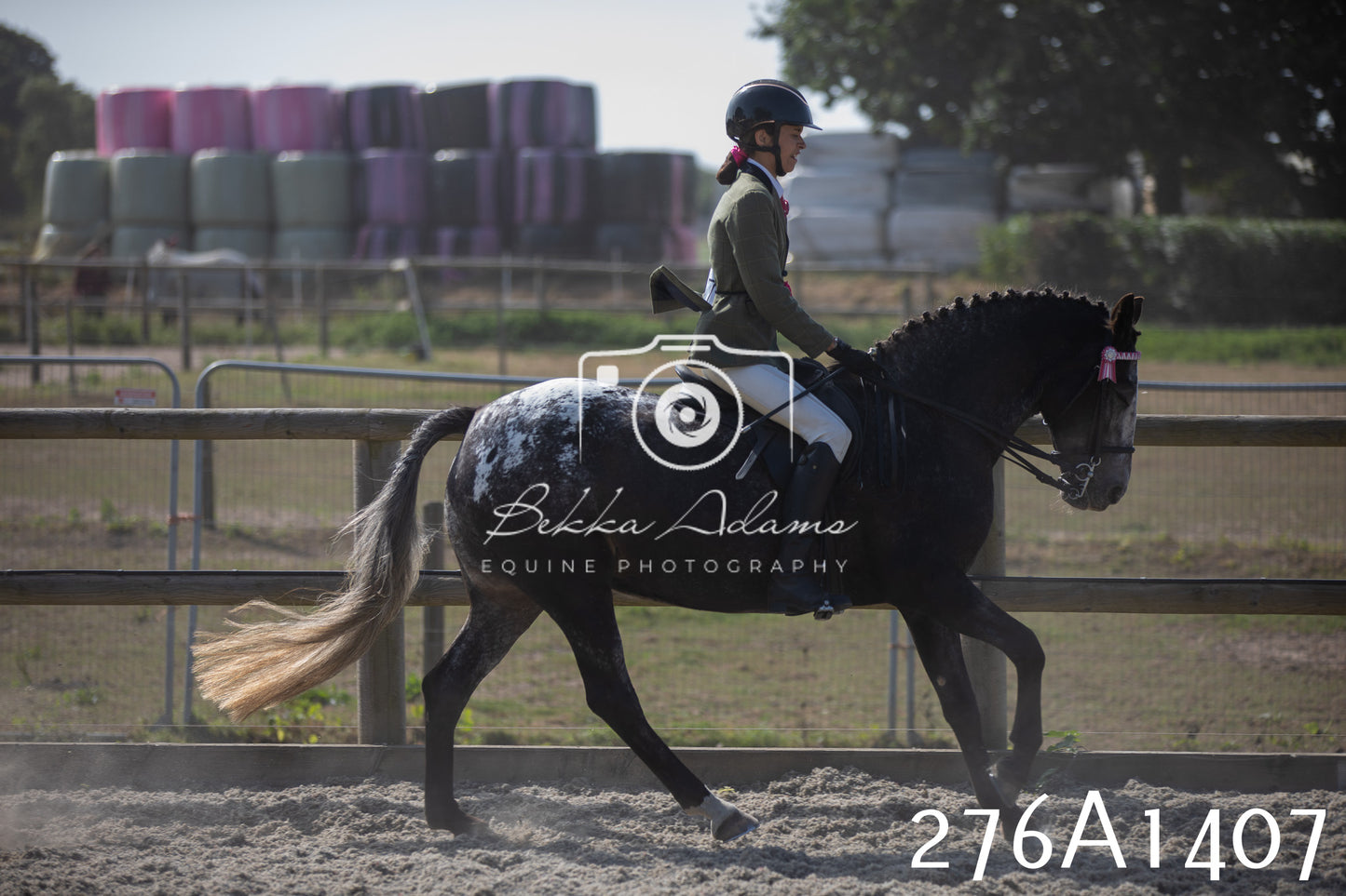Home Farm Annual Show 2025 - Ridden Pt 1
