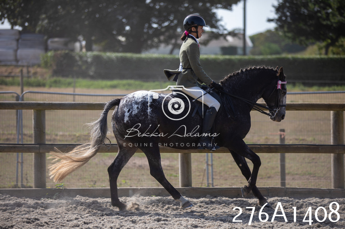 Home Farm Annual Show 2025 - Ridden Pt 1