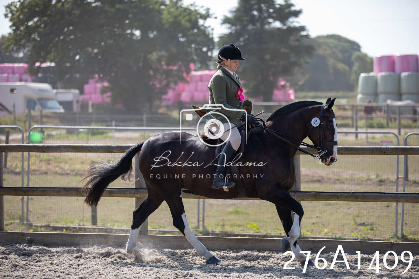 Home Farm Annual Show 2025 - Ridden Pt 1
