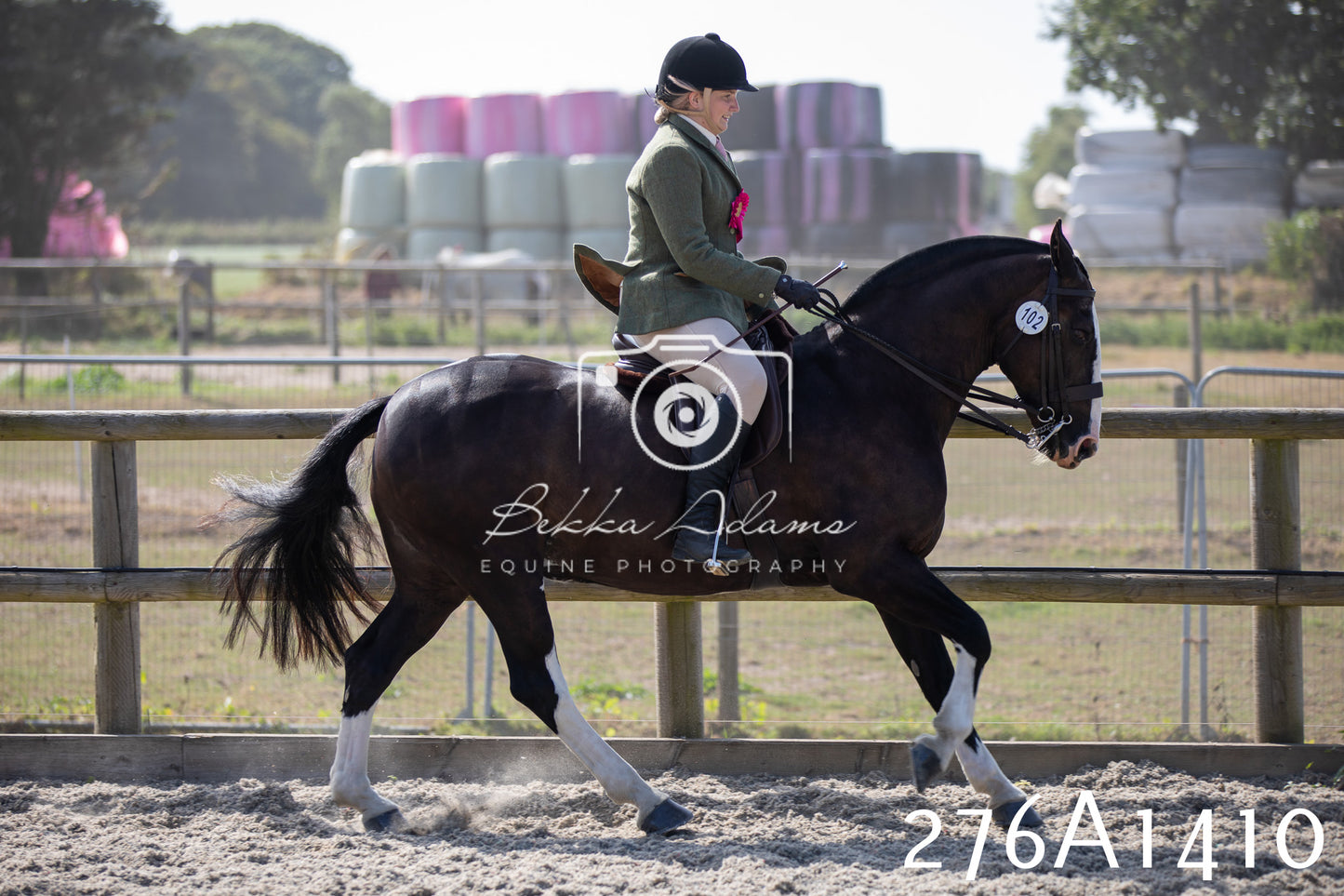 Home Farm Annual Show 2025 - Ridden Pt 1