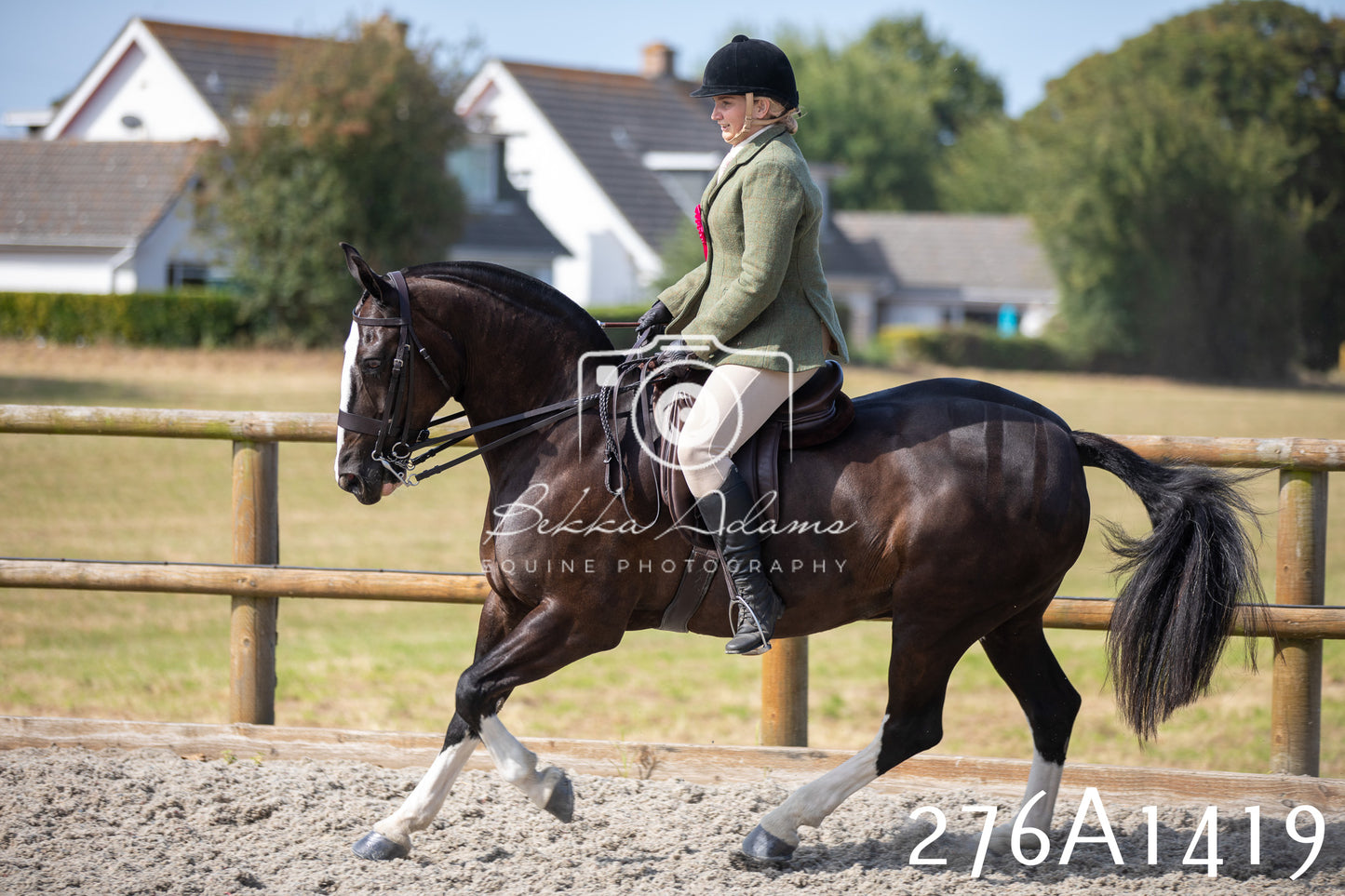 Home Farm Annual Show 2025 - Ridden Pt 1
