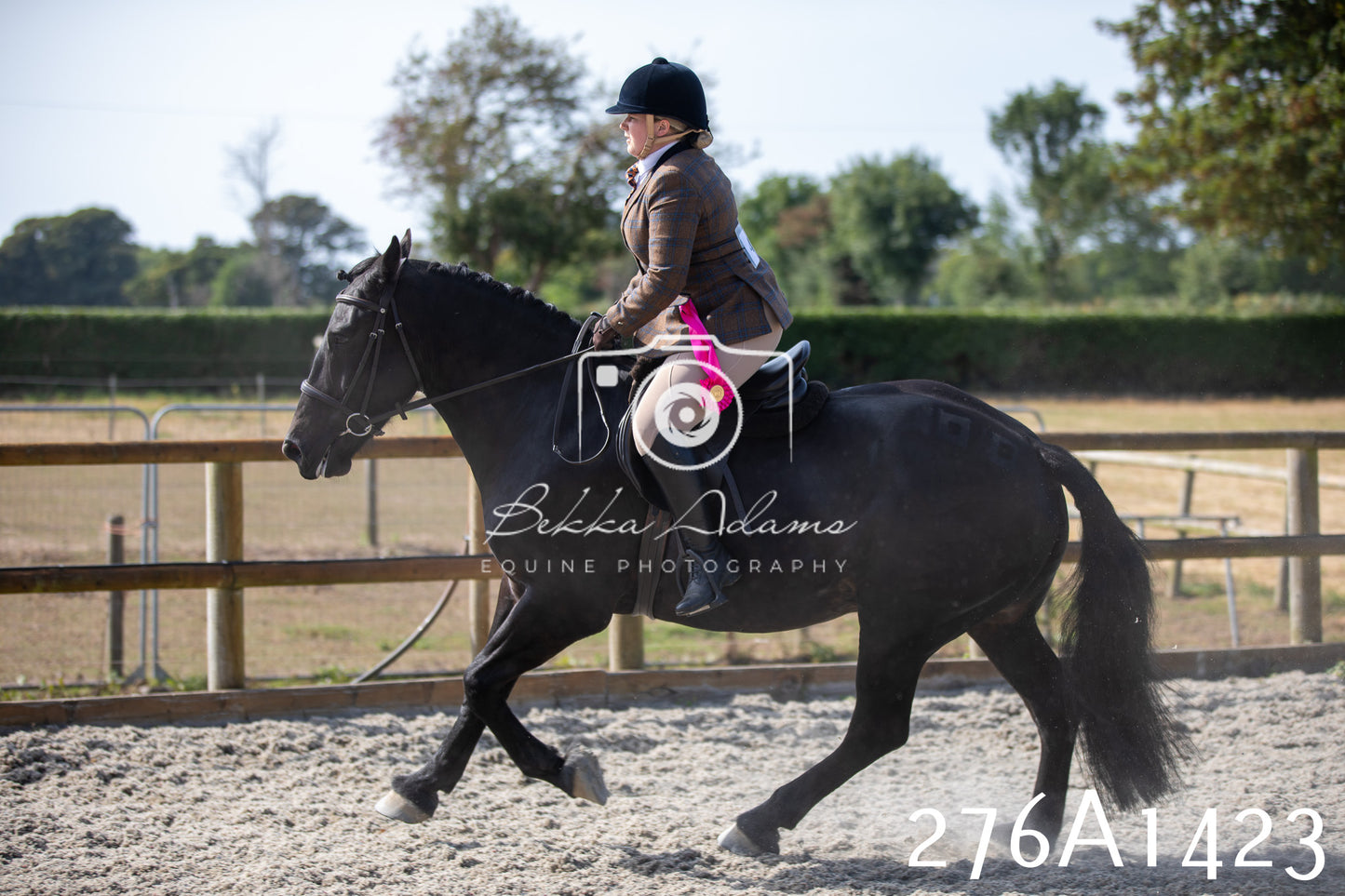 Home Farm Annual Show 2025 - Ridden Pt 1