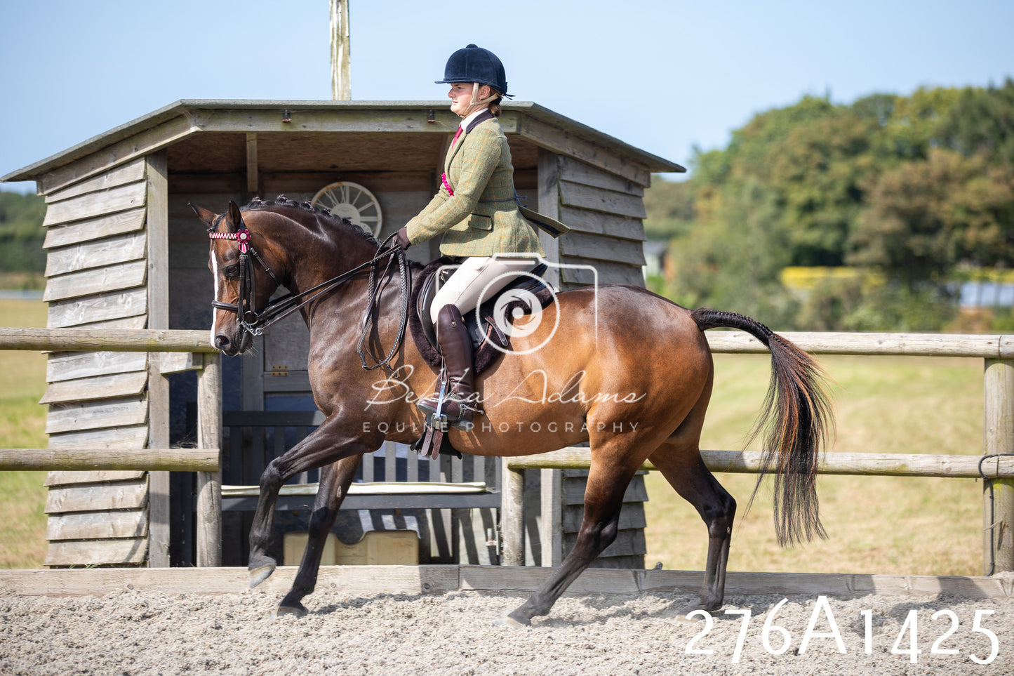 Home Farm Annual Show 2025 - Ridden Pt 1