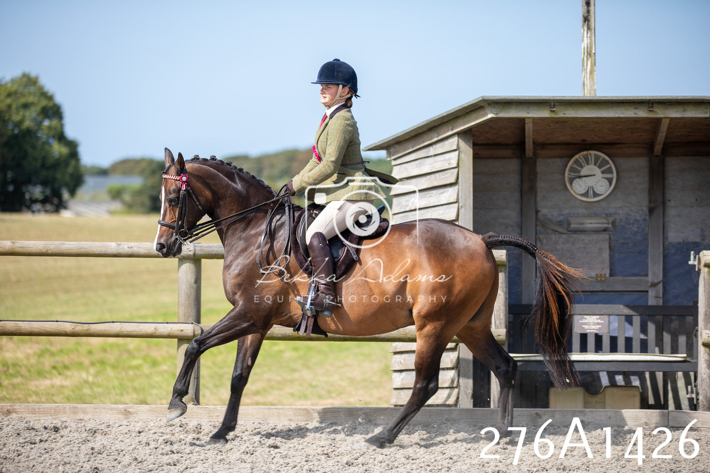 Home Farm Annual Show 2025 - Ridden Pt 1