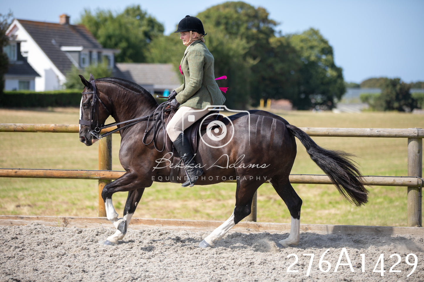 Home Farm Annual Show 2025 - Ridden Pt 1