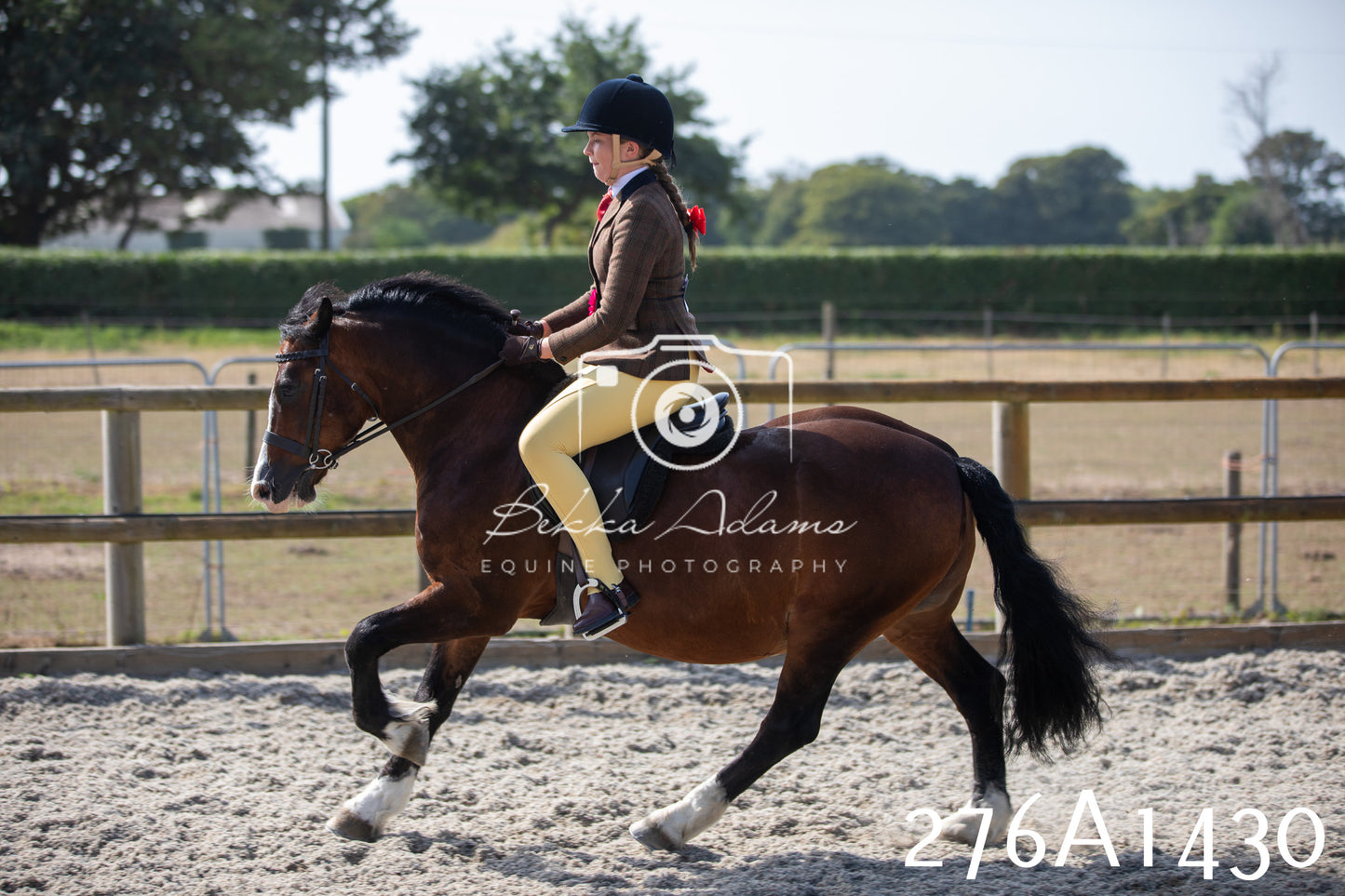 Home Farm Annual Show 2025 - Ridden Pt 1