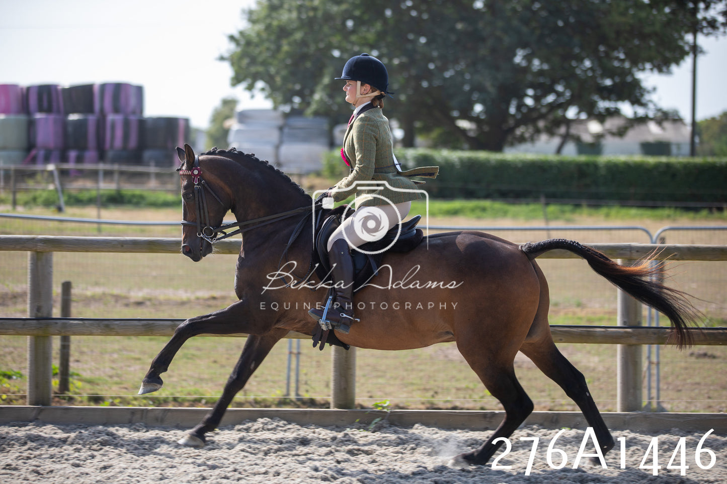 Home Farm Annual Show 2025 - Ridden Pt 1