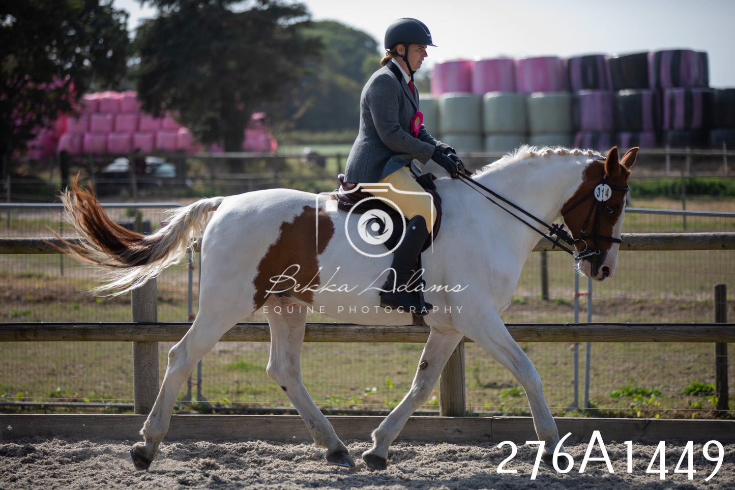 Home Farm Annual Show 2025 - Ridden Pt 1