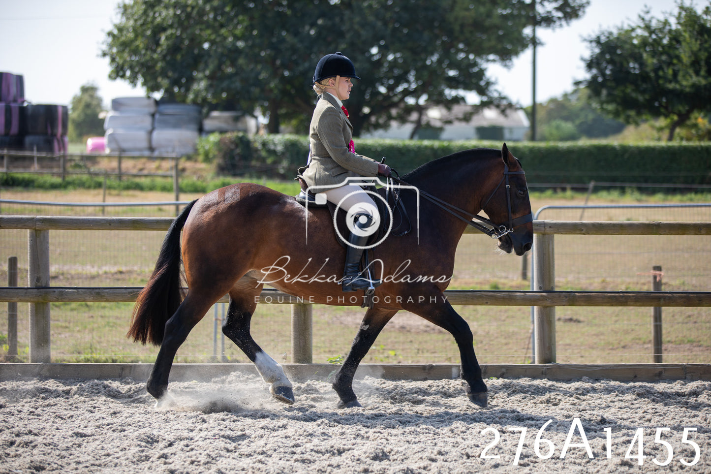 Home Farm Annual Show 2025 - Ridden Pt 1
