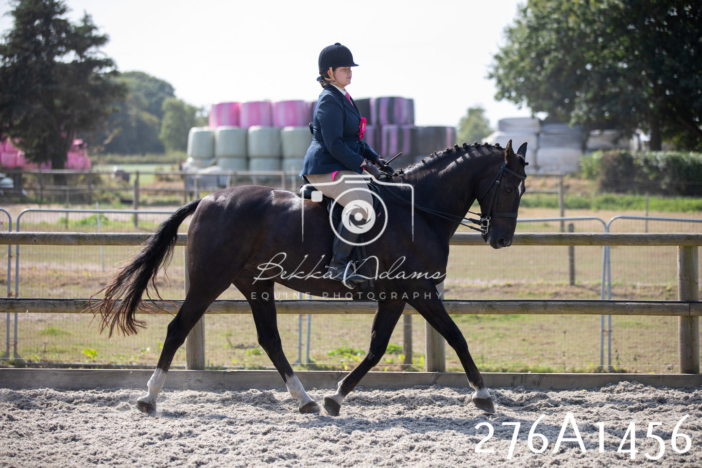 Home Farm Annual Show 2025 - Ridden Pt 1