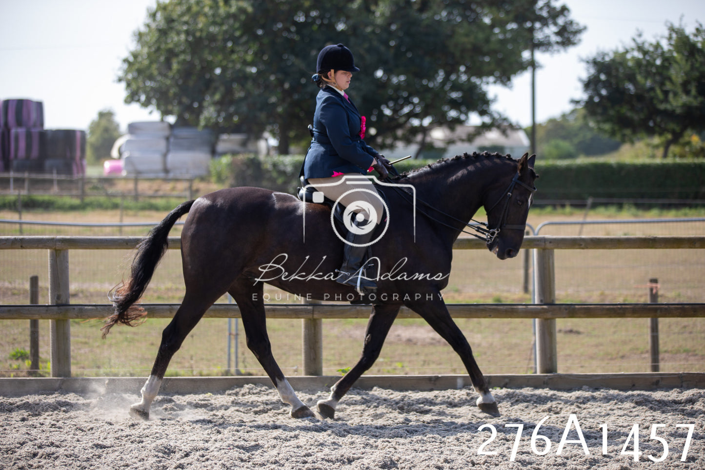 Home Farm Annual Show 2025 - Ridden Pt 1