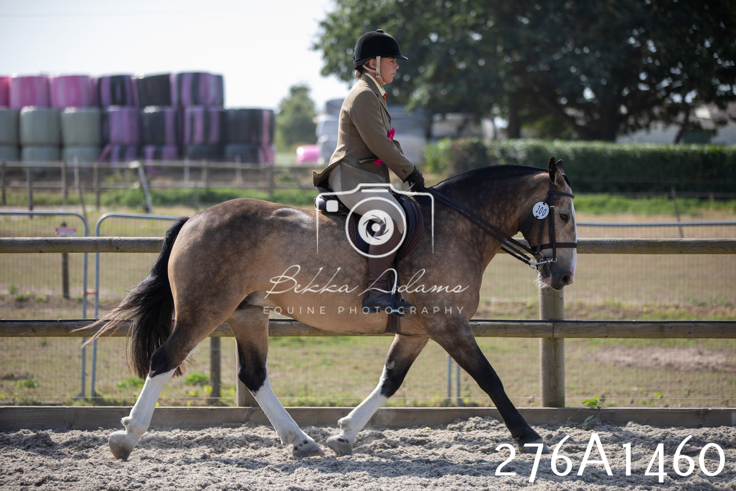 Home Farm Annual Show 2025 - Ridden Pt 1