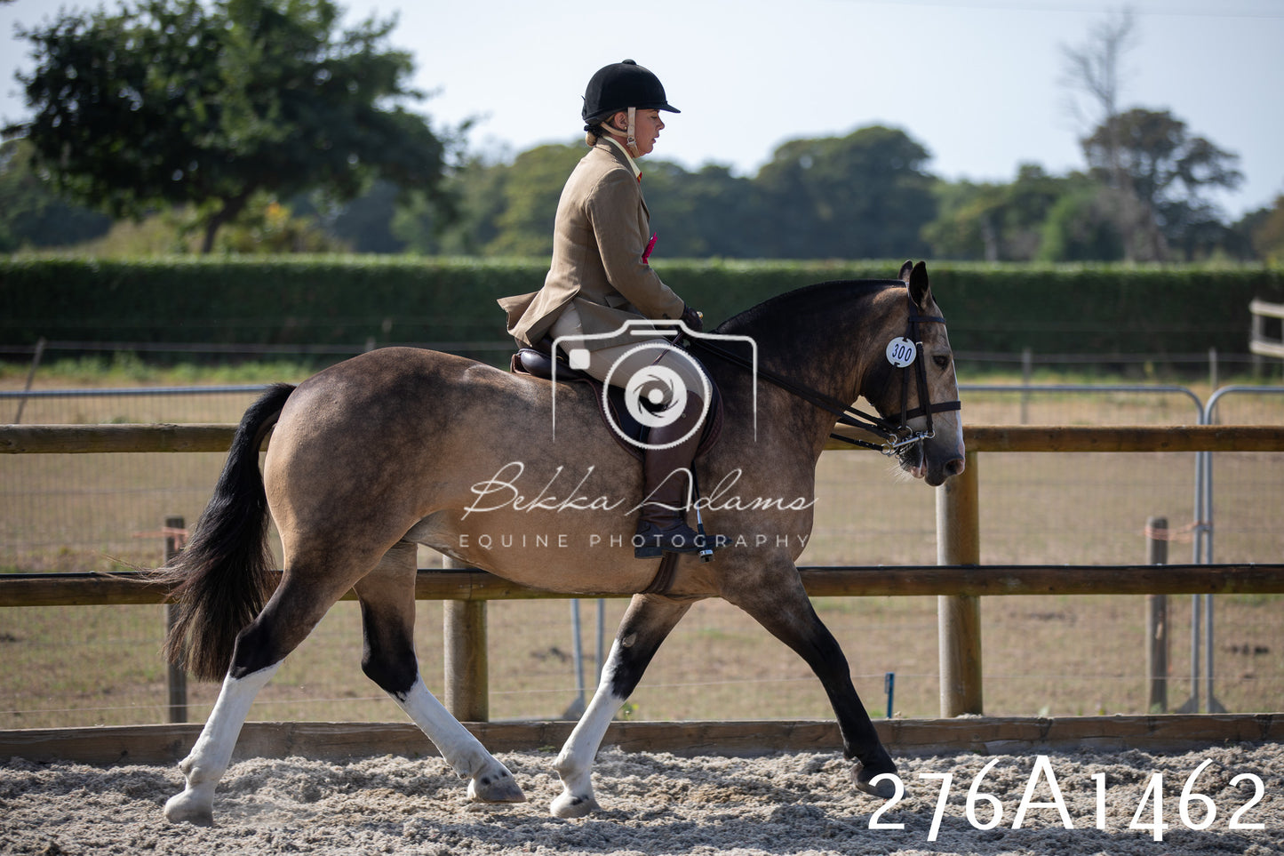 Home Farm Annual Show 2025 - Ridden Pt 1