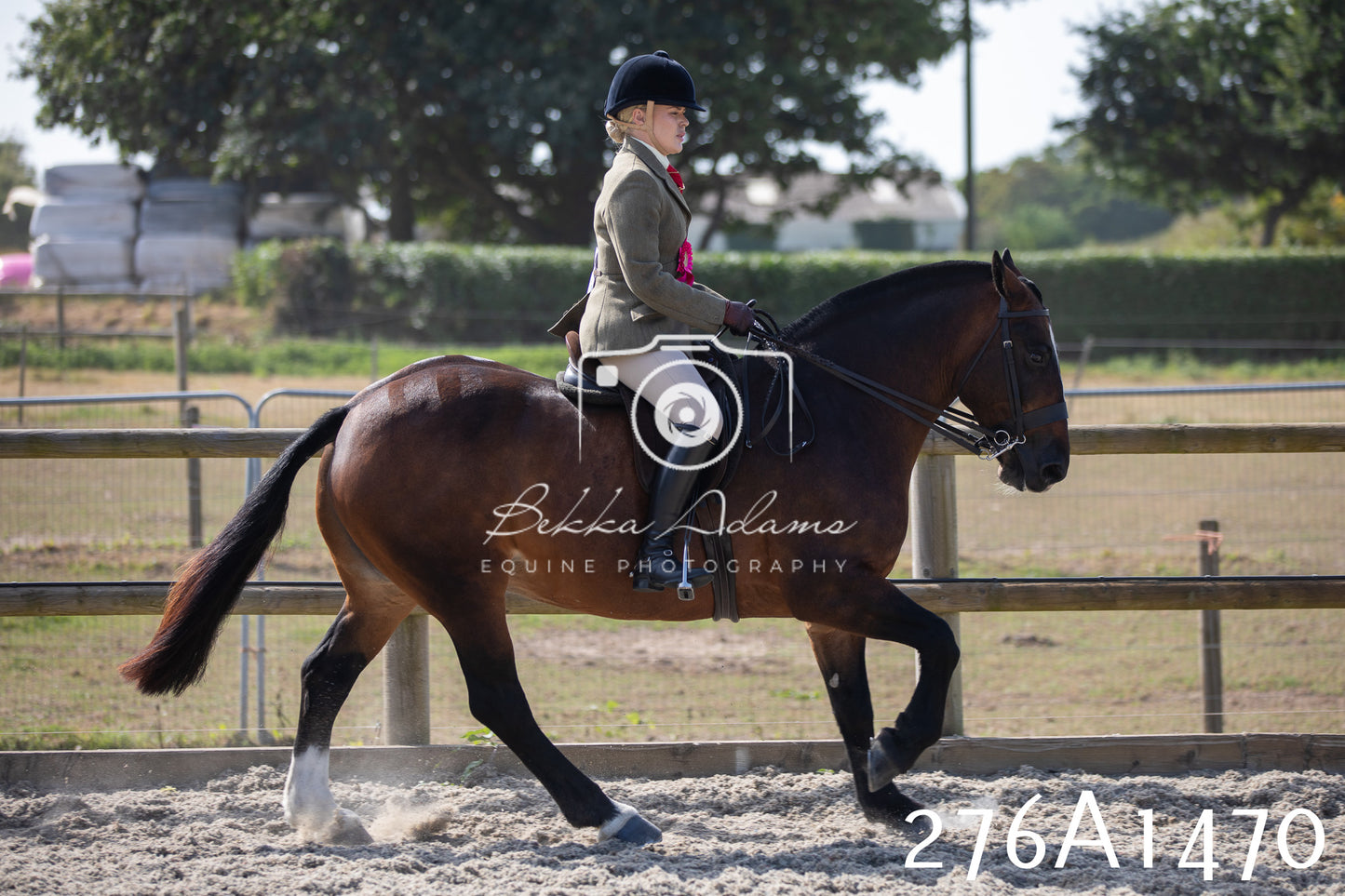 Home Farm Annual Show 2025 - Ridden Pt 1