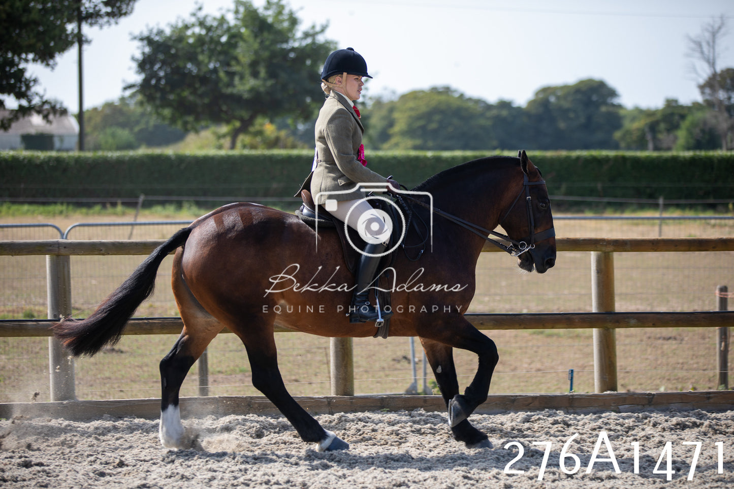 Home Farm Annual Show 2025 - Ridden Pt 1