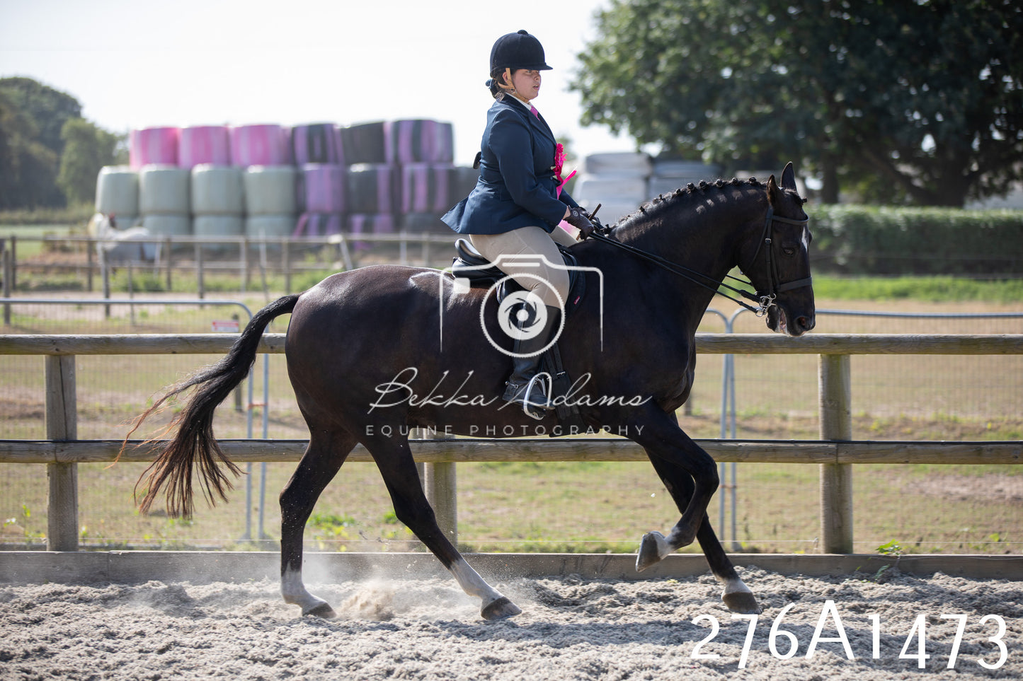 Home Farm Annual Show 2025 - Ridden Pt 1