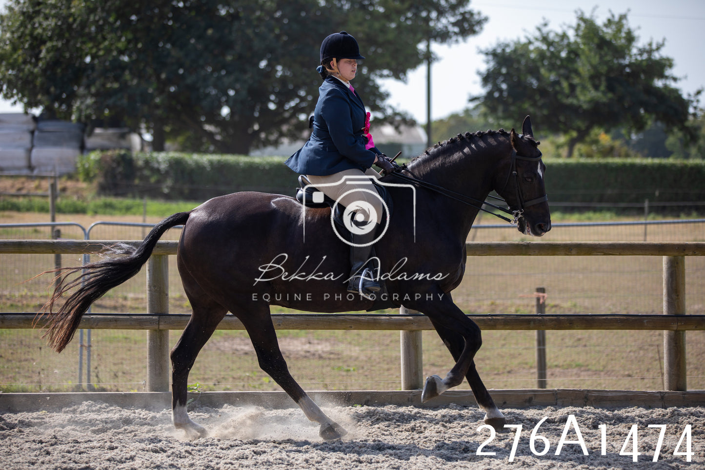 Home Farm Annual Show 2025 - Ridden Pt 1