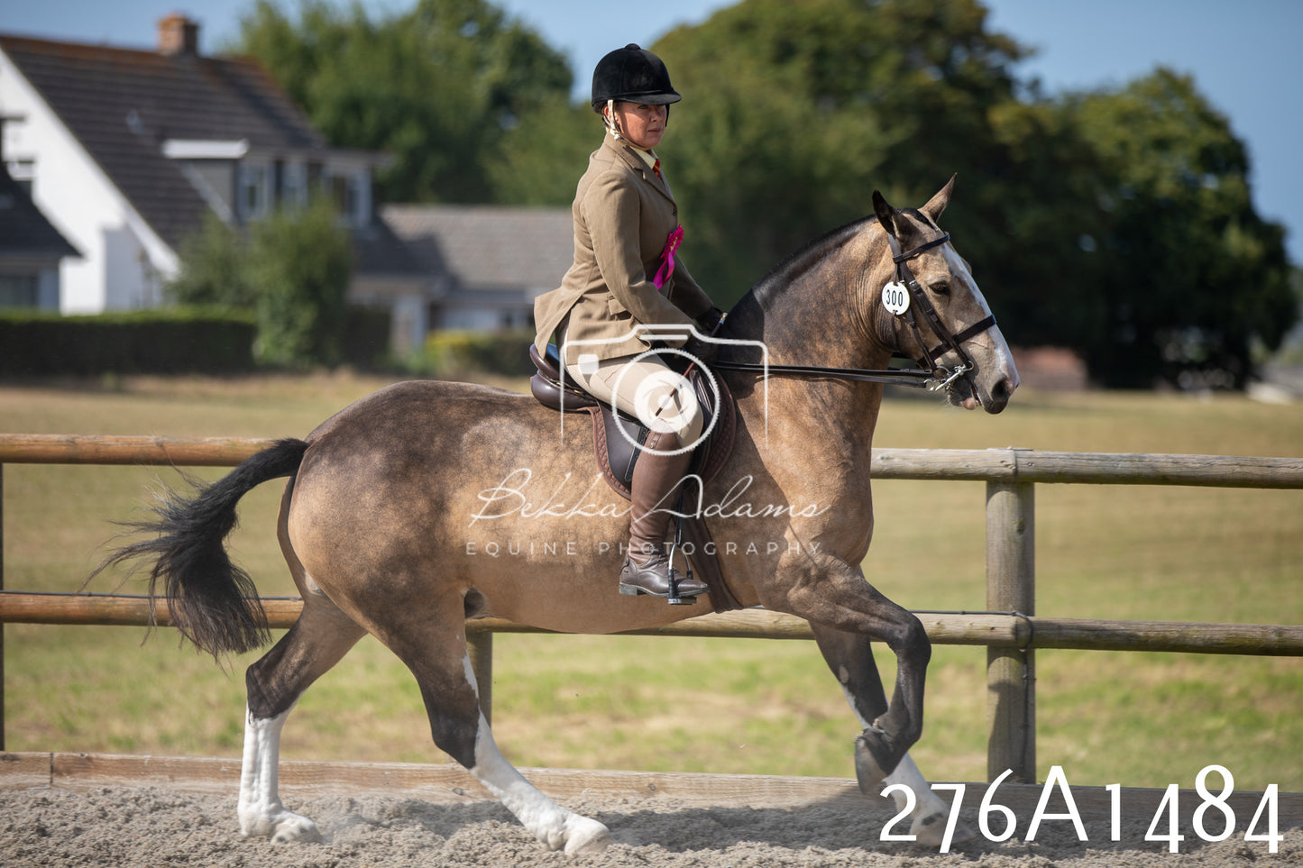 Home Farm Annual Show 2025 - Ridden Pt 1