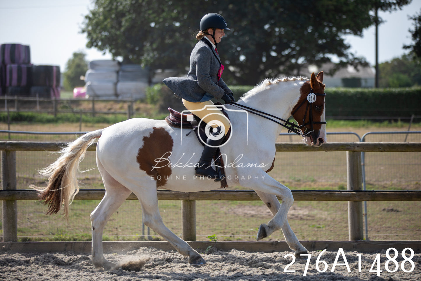 Home Farm Annual Show 2025 - Ridden Pt 1