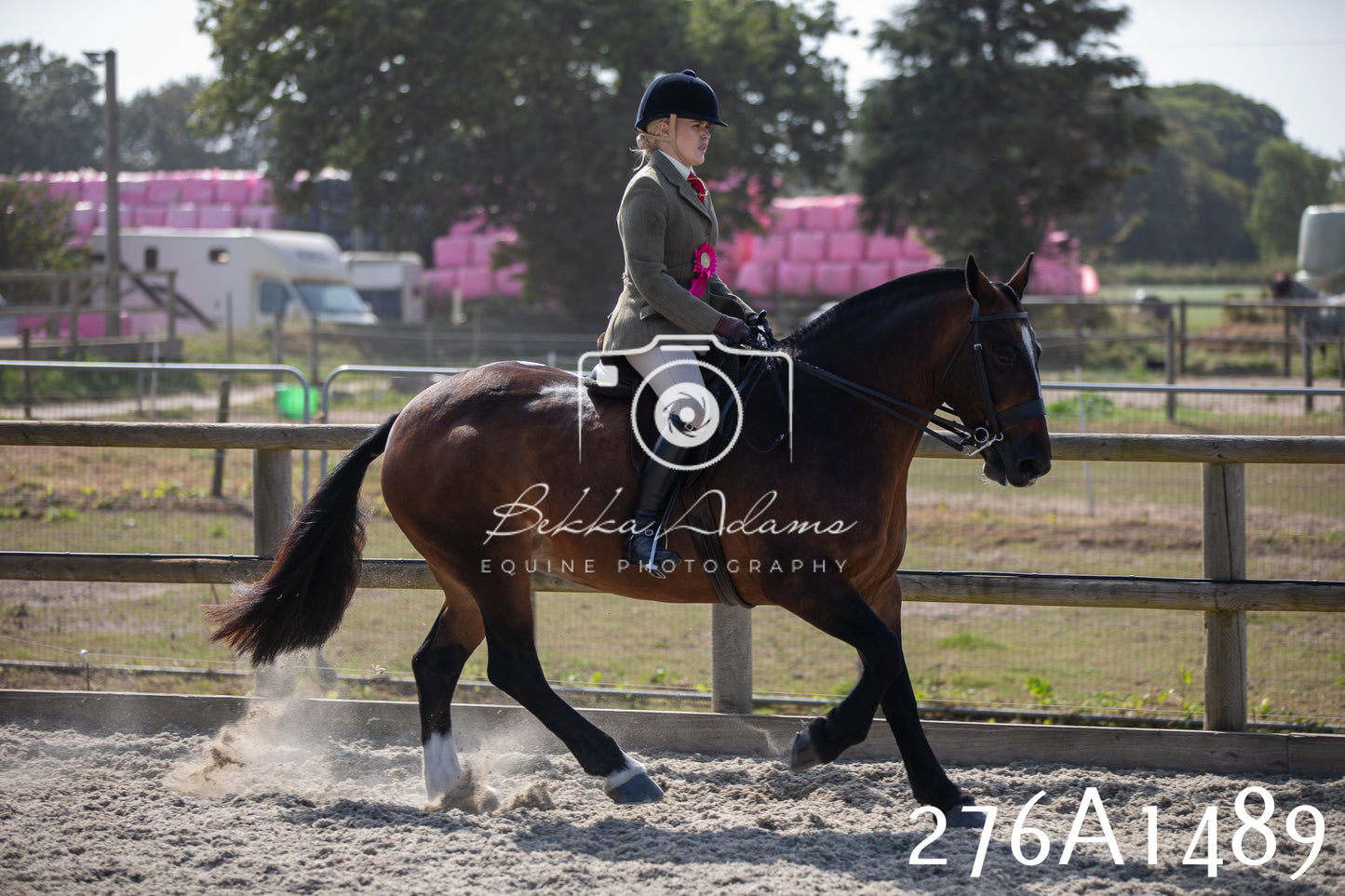 Home Farm Annual Show 2025 - Ridden Pt 1