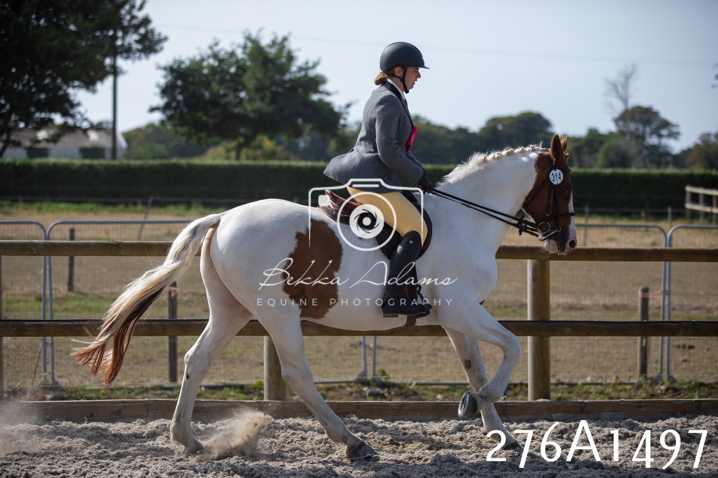 Home Farm Annual Show 2025 - Ridden Pt 1