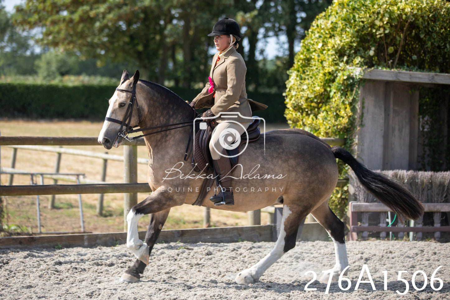 Home Farm Annual Show 2025 - Ridden Pt 1