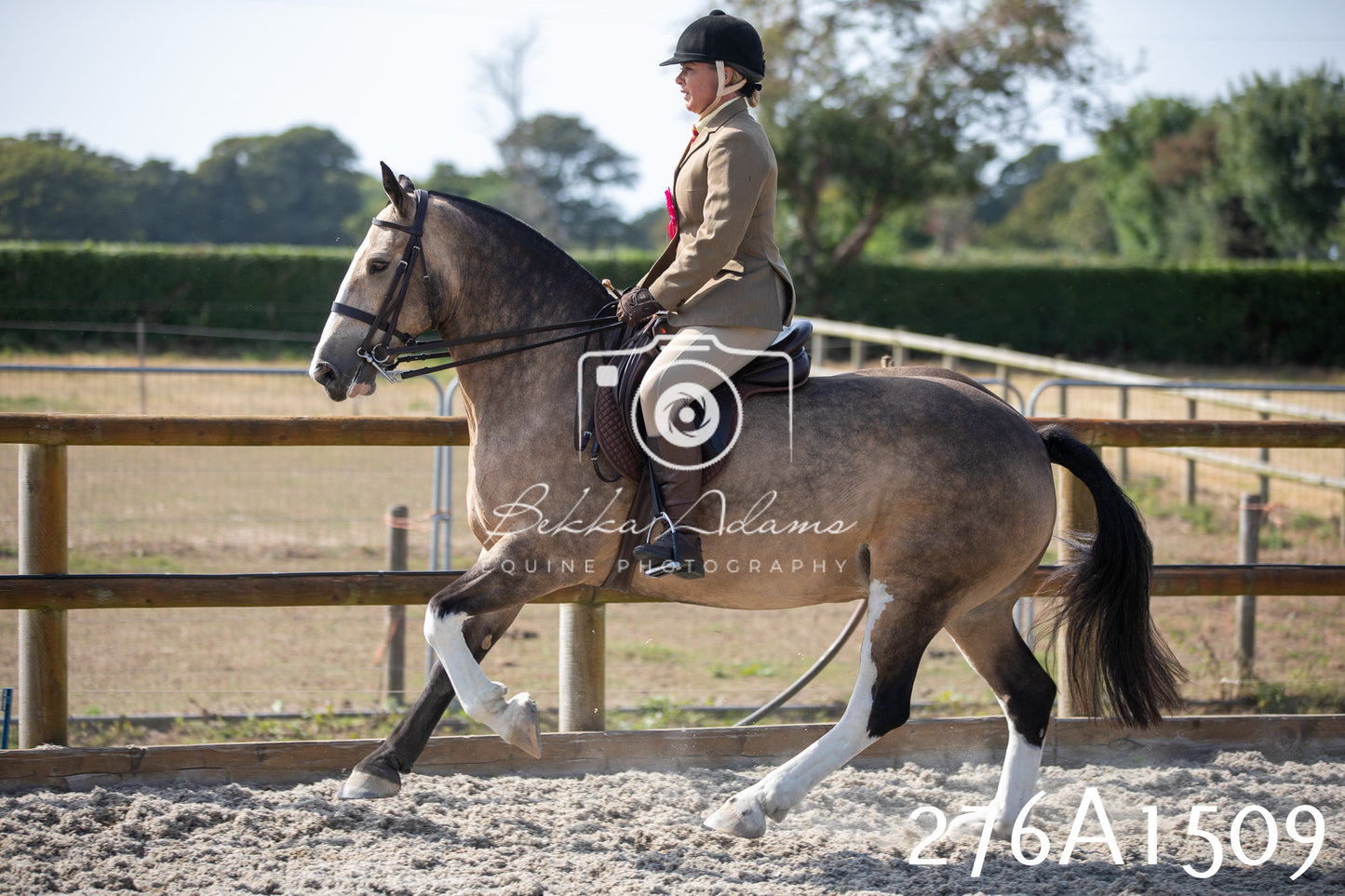 Home Farm Annual Show 2025 - Ridden Pt 1