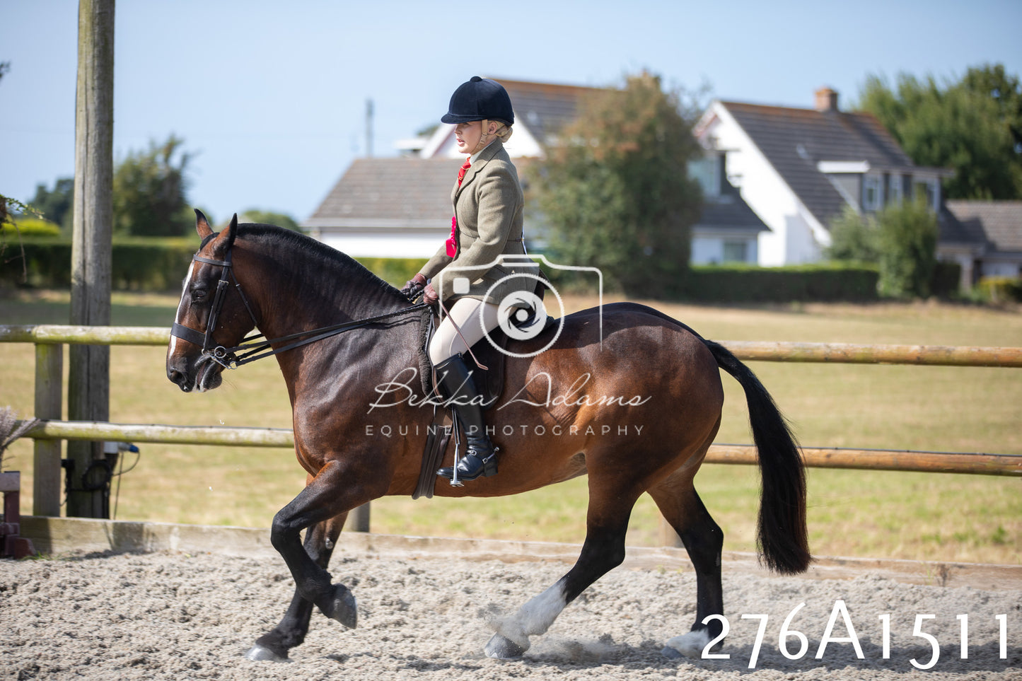 Home Farm Annual Show 2025 - Ridden Pt 1
