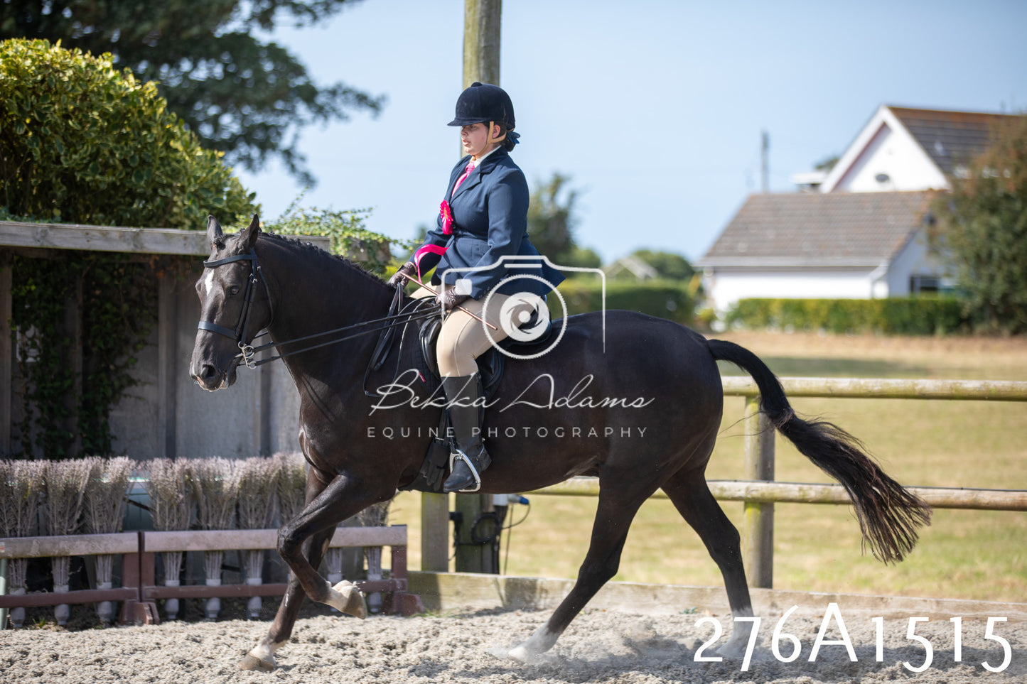 Home Farm Annual Show 2025 - Ridden Pt 1