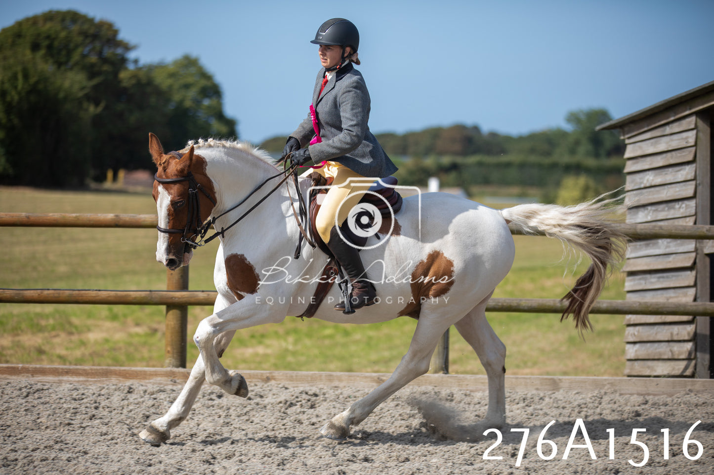 Home Farm Annual Show 2025 - Ridden Pt 1