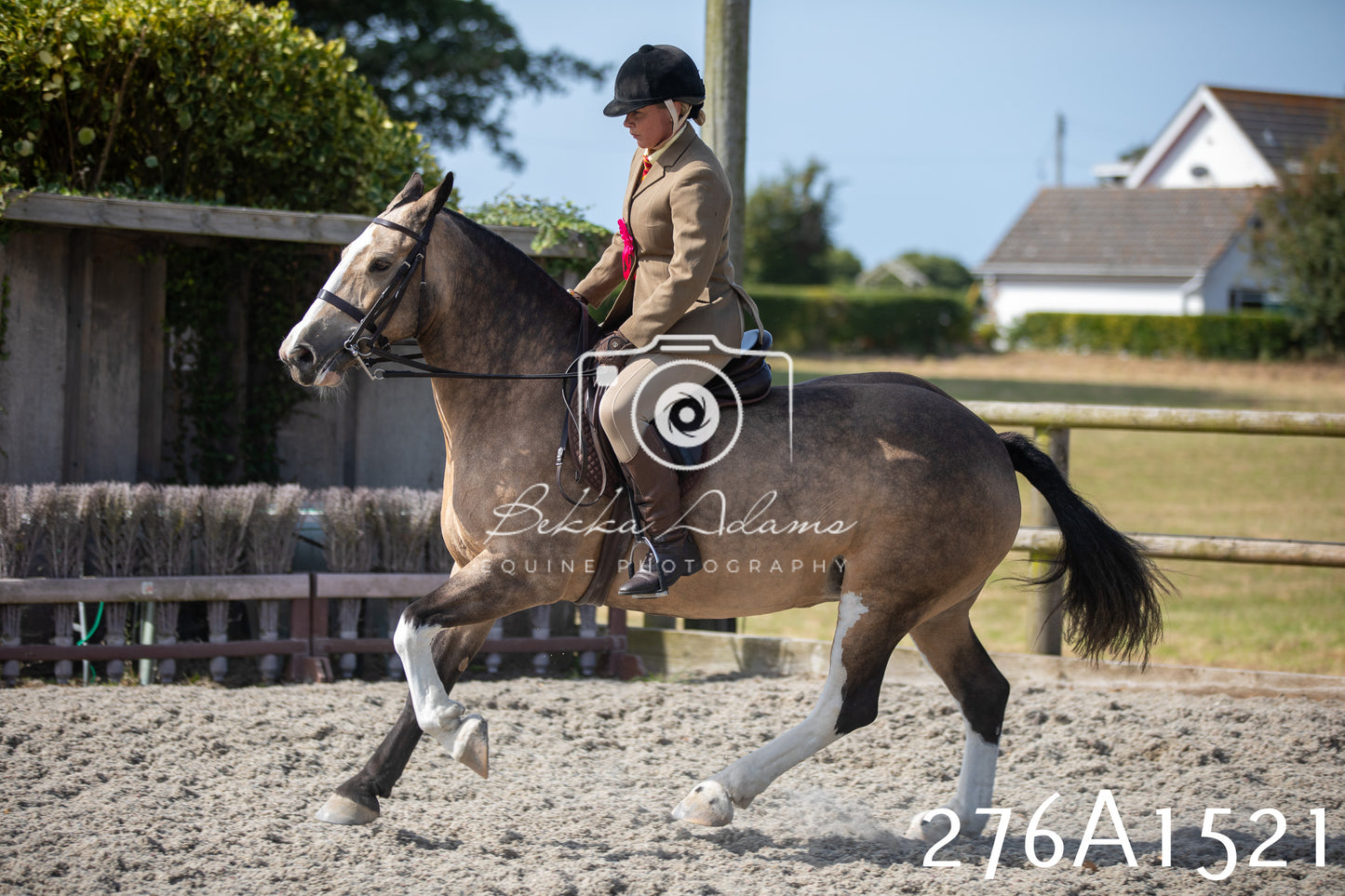 Home Farm Annual Show 2025 - Ridden Pt 1